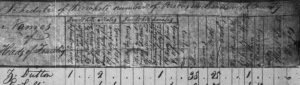 1810 Federal Census, Brunswick County, North Carolina: Z. Dutton