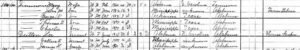 1900 Federal Census, Lawrence County, Alabama: Lee Dutton and sons.