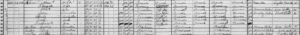 1920 census of Hamilton County, Tennessee, showing Callis Dutton and Riley Dutton.